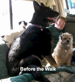 Click for a larger picture